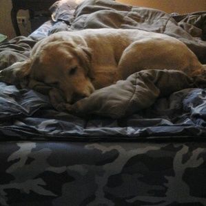 Meet your Posher, Jonathan